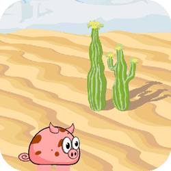 Play Pig Pig Now!
