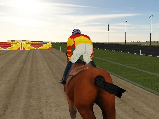 Play Horse Rider Now!