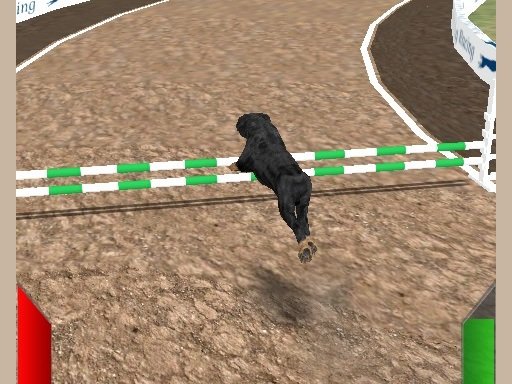Play Crazy Real Dog Race Now!