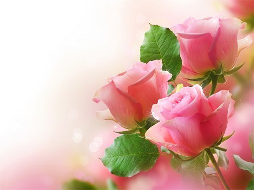 Play Pink Roses Puzzle Now!