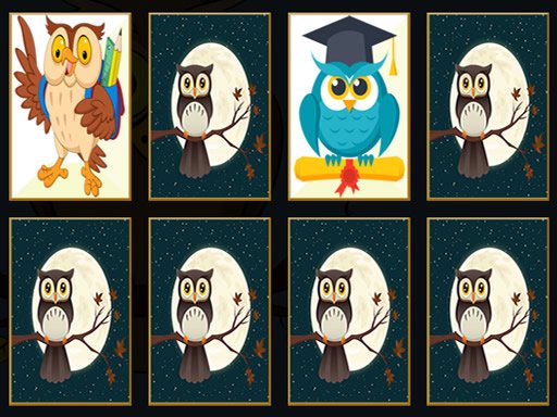 Play Cute Owl Memory Now!