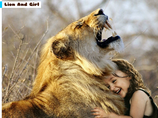 Play Lion And Girl Jigsaw Now!