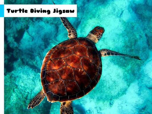 Play Turtle Diving Jigsaw Now!
