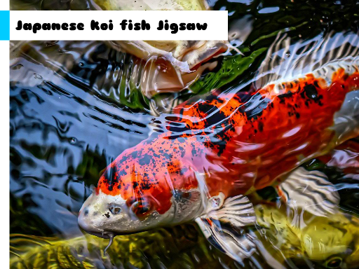 Play Japanese Koi Fish Jigsaw Now!