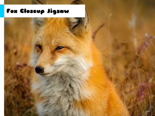 Play Fox Closeup Jigsaw Now!