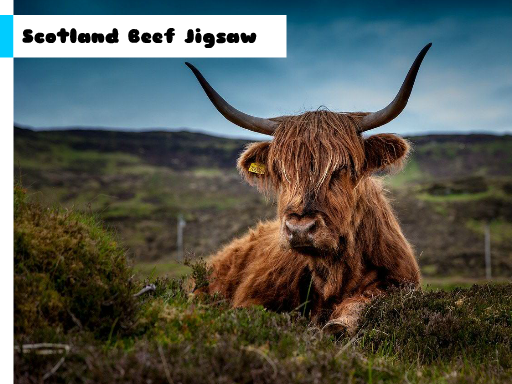 Play Scotland Beef Jigsaw Now!