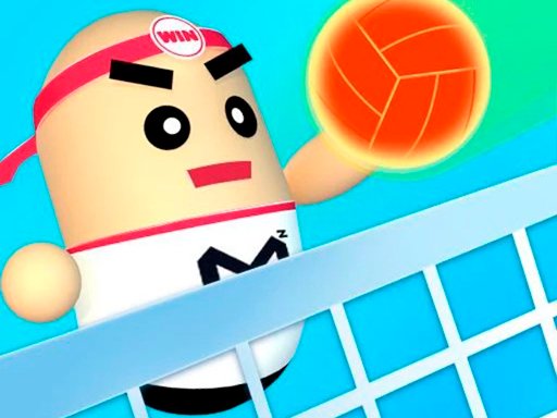 Play 3D Amazing VolleyBall Now!
