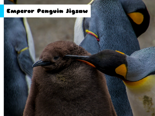 Play Emperor Penguin Jigsaw Now!