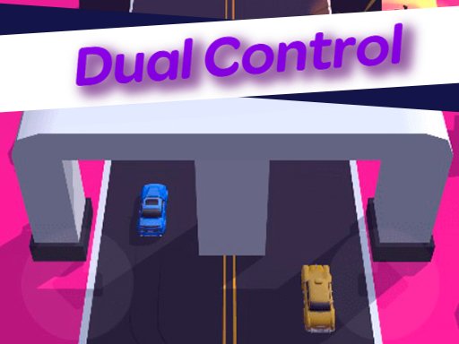 Play Dual Control 3D Now!