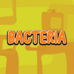 Play Bacteria Now!