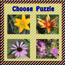 Play Choose Puzzle Now!