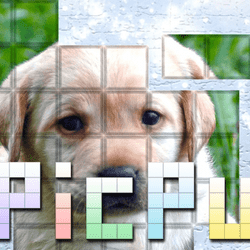 Play PicPu-Dog Now!