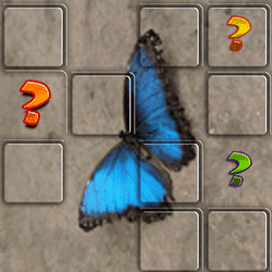 Play Butterfly Memory Match Now!