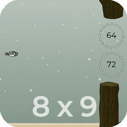 Play Equations Flapping Now!